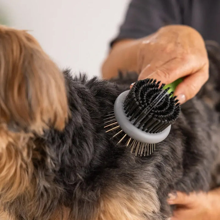 WAHL Spazzola A Doppio Lato Per Animali Domestici
