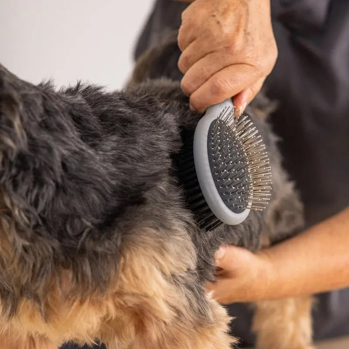 WAHL Spazzola A Doppio Lato Per Animali Domestici