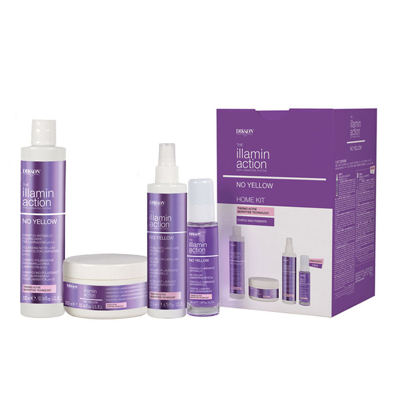 DIKSON Set The Illamin Action No Yellow Shampo Lamellare 300ml + Concentrato Laminante300ml + Sigillante Laminante 200ml + Cristallo Laminante 50ml