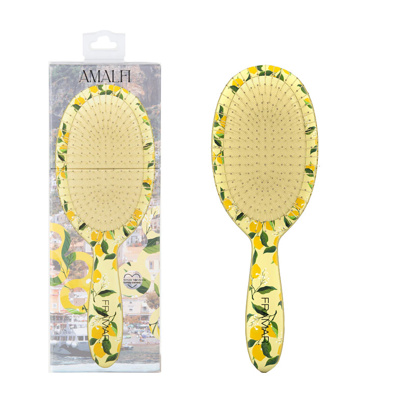 FRAMAR Detangle Brush Amalfi