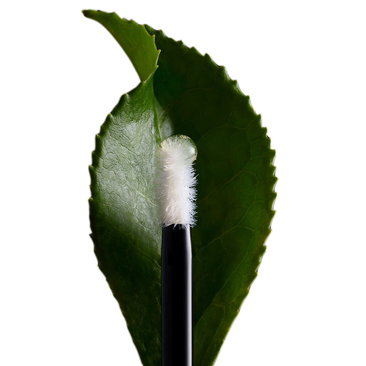 AVEDA Invati  Brow Thickening Serum 5ml