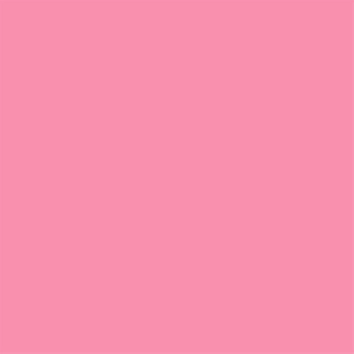 RYBELLA Plump Fiction Volumizing Lip Oil- Olio Labbra Volumizzante WATERMELONLAND 4.60ml