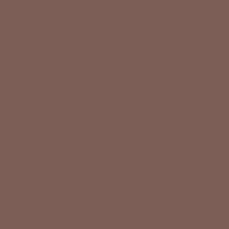 RYBELLA Pro Lip Pencil Matita Labbra N°52 - CHOCOLATE 1.1g