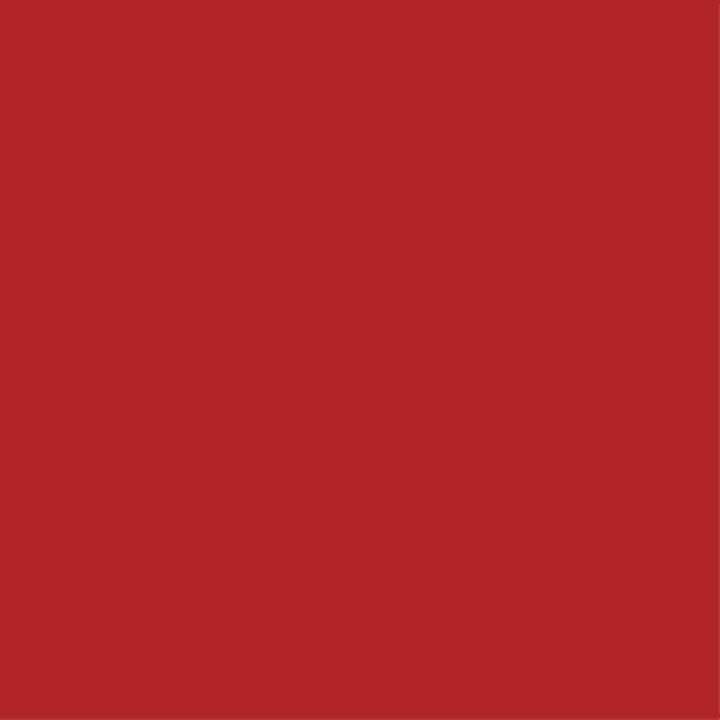 RYBELLA Pro Lip Pencil Matita Labbra N°55 - FIERY RED 1.1g