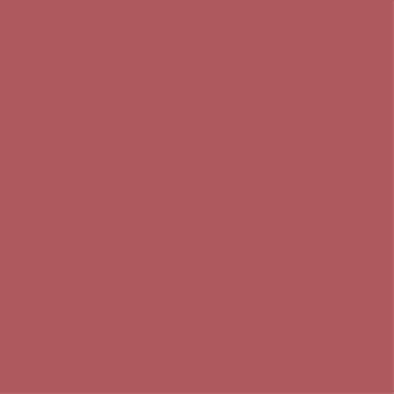 RYBELLA Pro Lip Pencil Matita Labbra N°59 - EMPRESS 1.1g