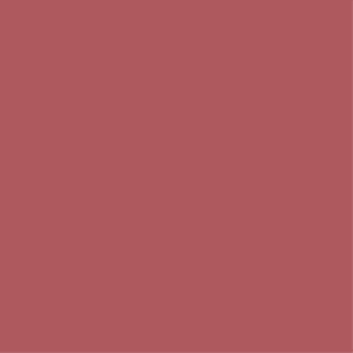 RYBELLA Pro Lip Pencil Matita Labbra N°59 - EMPRESS 1.1g