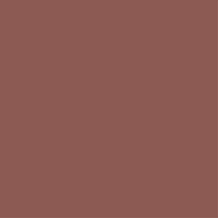 RYBELLA Pro Lip Pencil Matita Labbra N°60 - PONGA PONGA 1.1g