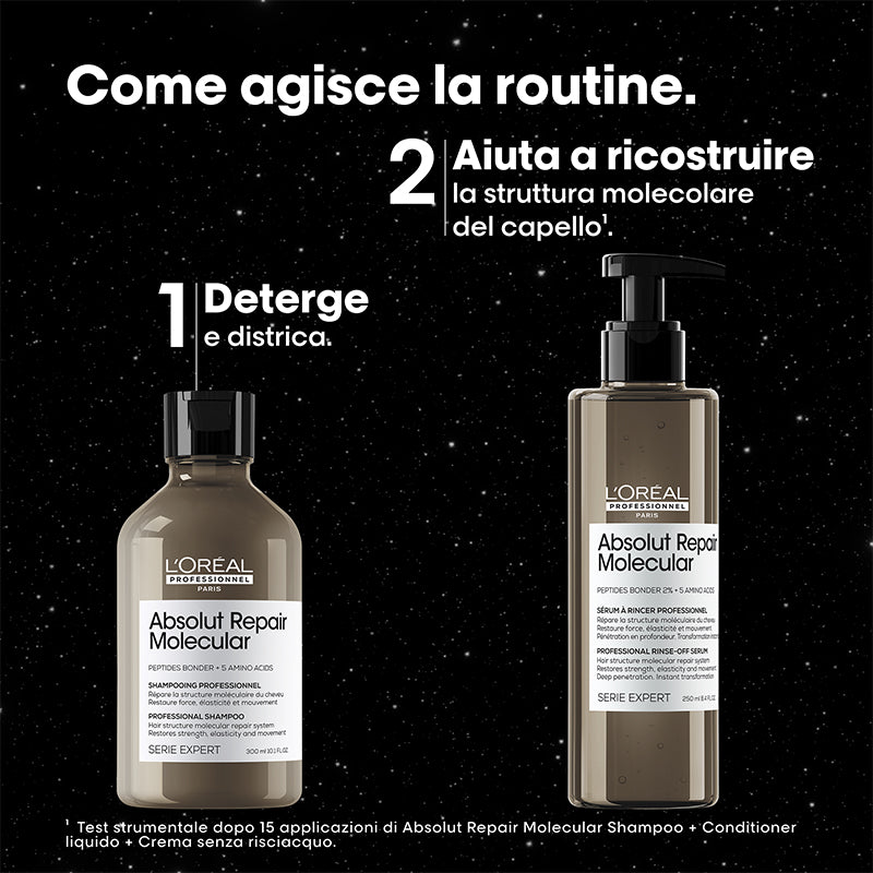 L'OREAL Set Xmas Serie Expert Absolut Repair Molecular Meteora Shampoo 300ml + Serum 250ml