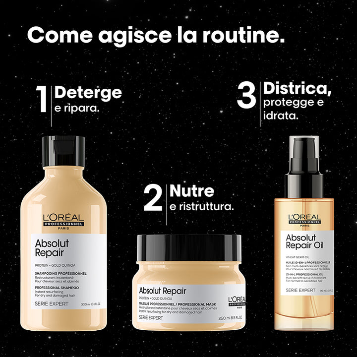 L'OREAL Set Xmas Serie Expert Absolut Repair Meteora Shampoo 300ml +  Mask 250ml + Oil 90ml