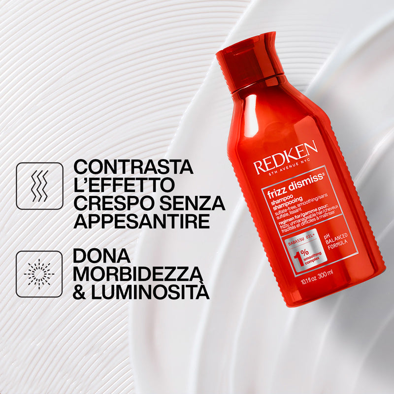 REDKEN Set Holiday Frizz Dismiss Shampoo 300ml + Conditioner 300 + Spray 250ml