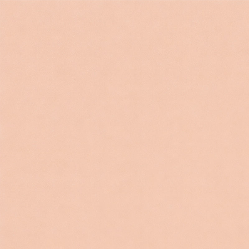 RYBELLA Stick Foundation Fondotinta N. 01 - LIGHT 10g