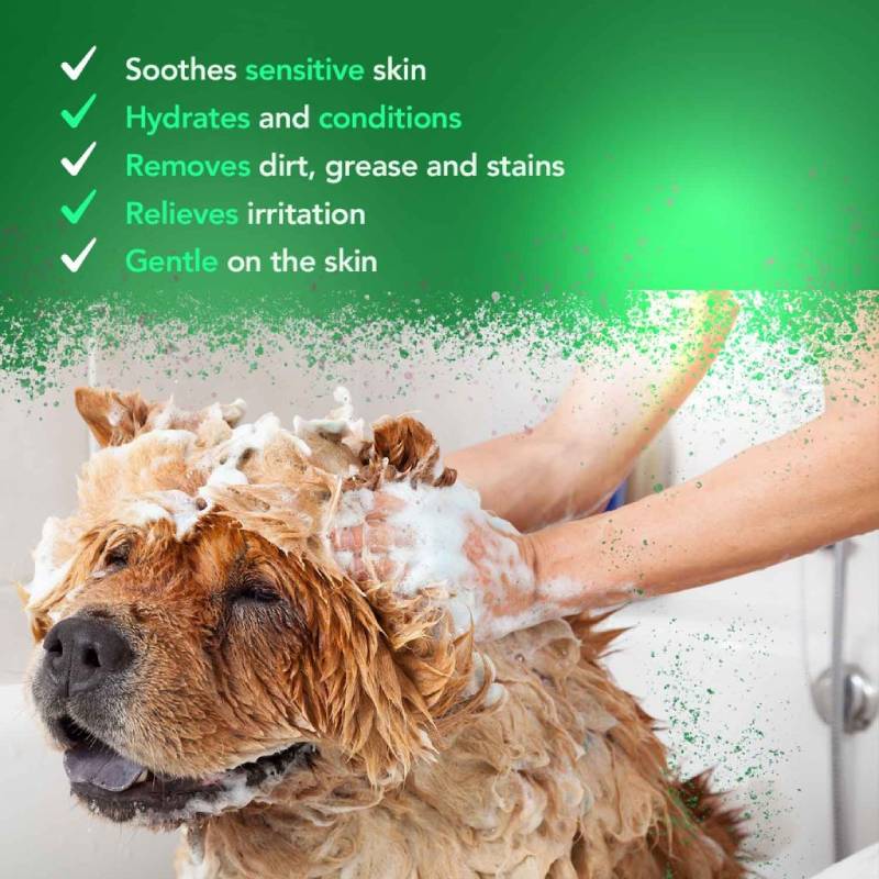 WAHL Animal Shampoo Aloe Soothe 5000ml