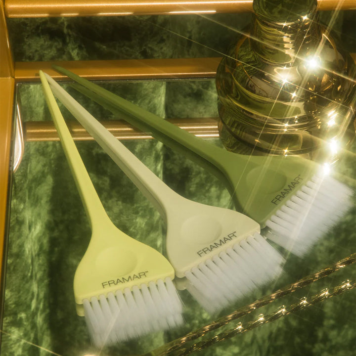 FRAMAR Color Brush Extra Dirty Set 3pz