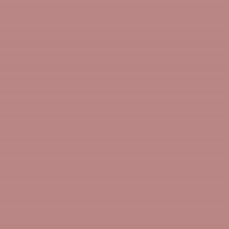 RYBELLA Pro Lip Pencil Matita Labbra N°50 - PINK BEIGE 1.1g (immagine 2)