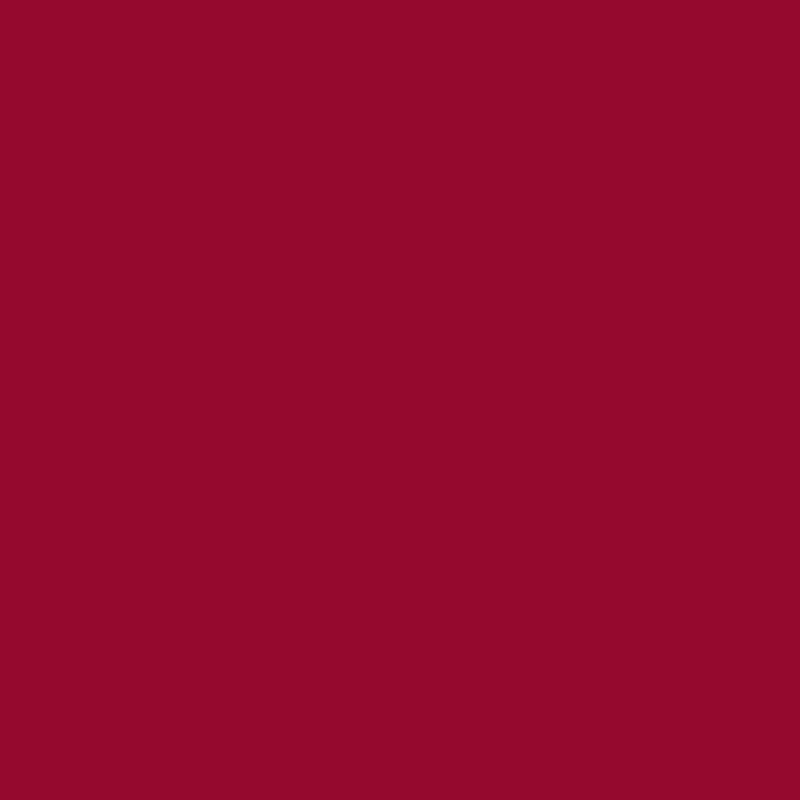 RYBELLA Charming Matt Liquid Lipstick Rossetto Liquido Opaco N° 510 - DIVA 4.7ml