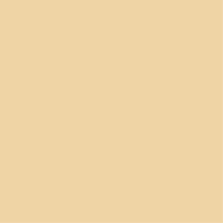 RYBELLA Concealer Stick Correttore N° 01 - NEUTRAL4g