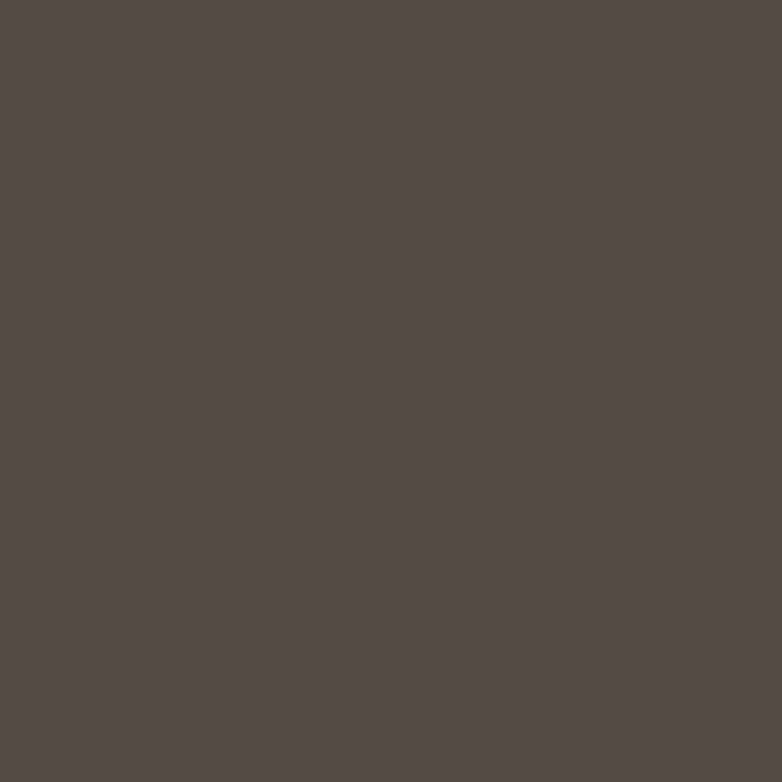 RYBELLA Pro Eyebrow Pencil Matita Sopraciglia /B03 DEEP 1.2g