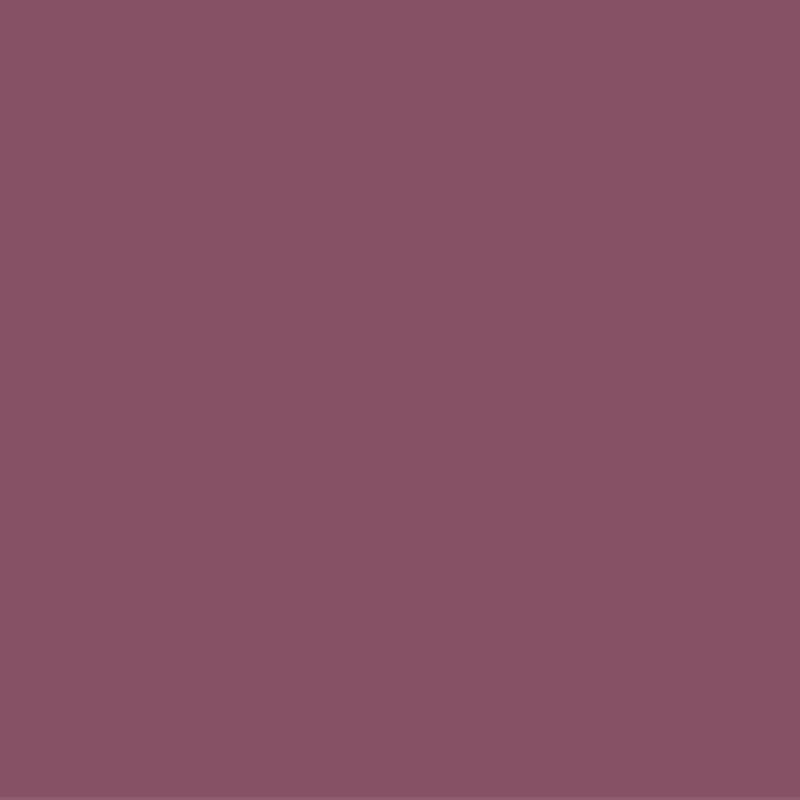 RYBELLA Pro Lip Pencil Matita Labbra N°54 - VIEUX ROSE 1.1g